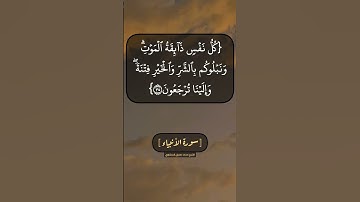سورة الأنبياء الآية ٣٣ الى ٣٥ بصوت الشيخ محمد صديق المنشاوي