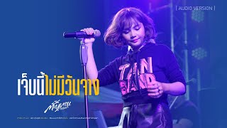 เจ็บนี้ไม่มีวันจาง - ตั๊กแตน ชลดา [Audio Version]