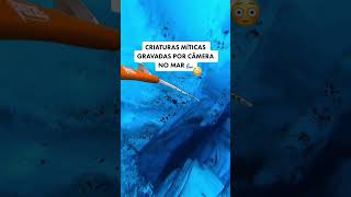 CRIATURAS MITICAS GRAVADAS POR CAMERA NO MAR #shorts #viral #curiosidades #mar #criatura