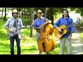 The Avett Brothers - Pretty Girl From Raleigh