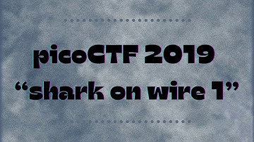 picoCTF 2019 - shark on wire 1 ~ Walkthrough