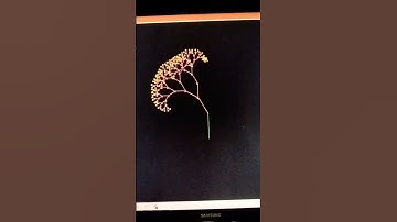 Tree animation in python. #python