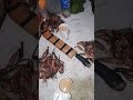 Biyaya ng ilog sa Lugar ng brgy Tagumpay Real Quezon may pang ulam na may pang binta pa🙏