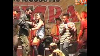 Gavra - duda araban (Randusari Q-Doel)
