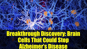 Breakthrough Discovery: Brain Cells That Could Stop Alzheimer’s Disease