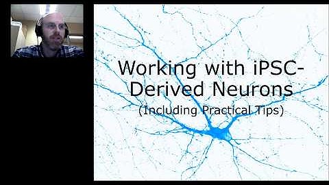 iPSC Derived Human Neurons: Introduction and Application