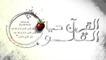 القارئ   محمد أيوب   سورة عبس