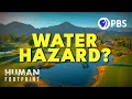 Human Footprint: The Role of Grass