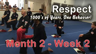 Power Turtles and Tiny Tigers On-Demand Video  Class - 2021 Cycle 3 Month 2 Week 2
