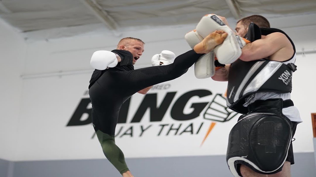 Tj Dillashaw Training UFC || Tem Fighters