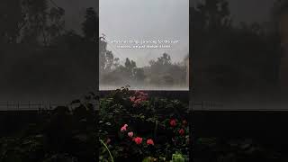 Sometimes things go wrong for the right reasons 🌿 | Inspirational Quote Wealth