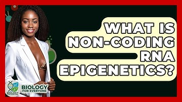 What Is Non-coding RNA Epigenetics? - Biology For Everyone