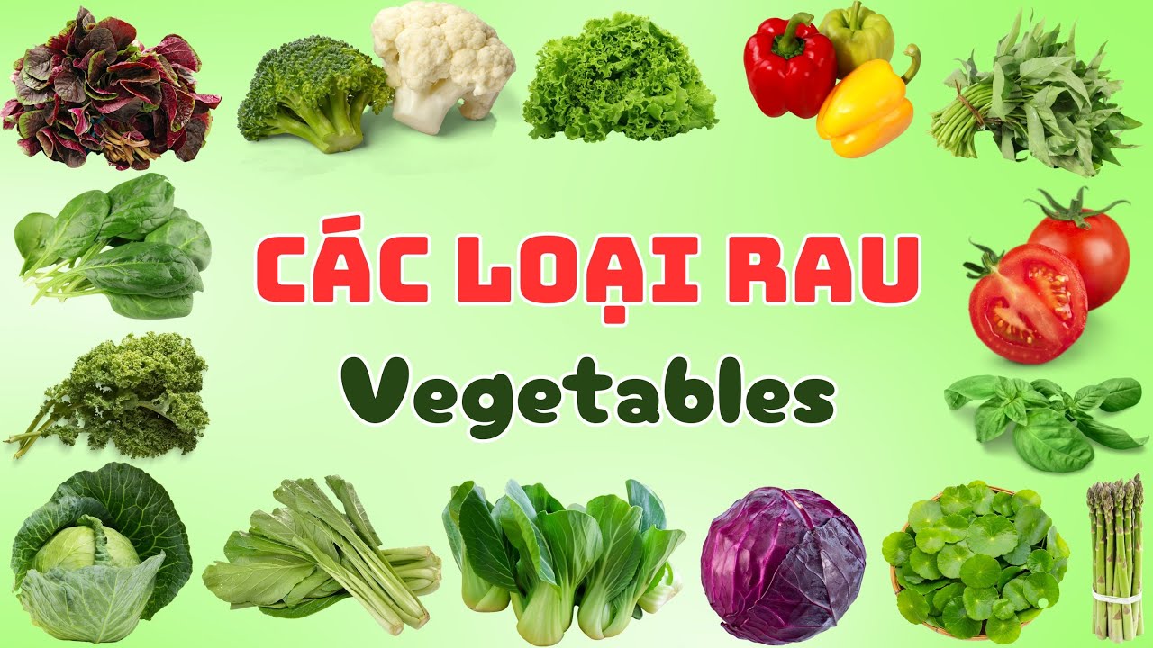 Dạy Bé Các Loại Rau| Các loại rau trong bữa ăn hằng ngày| Song ngữ Anh ...
