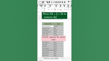 Remove Duplicates in Excel
