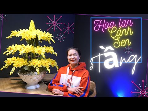Video Cách Cắm Bình Hoa Lan Hồ Điệp 3 TẦNG Từ Cánh SEN. - youtube