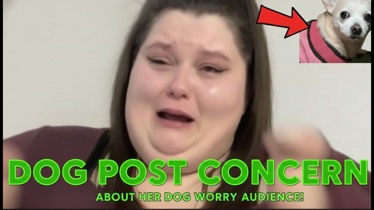 УДАЛЕННЫЙ пост Эмберлин Рид о хирургии собак вызвал ПАНИКУ и обвинения в халатности по отношению ...