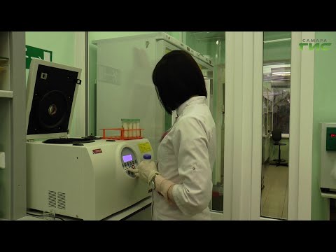Насколько безопасны генно-модифицированные продукты