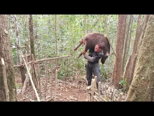 jungle man create amazing big trap to catch wild boar in forest class=