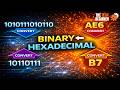 Lecture 1.3 – Binary to Hexadecimal & Hexadecimal to Binary | Step-by-step tutorial
