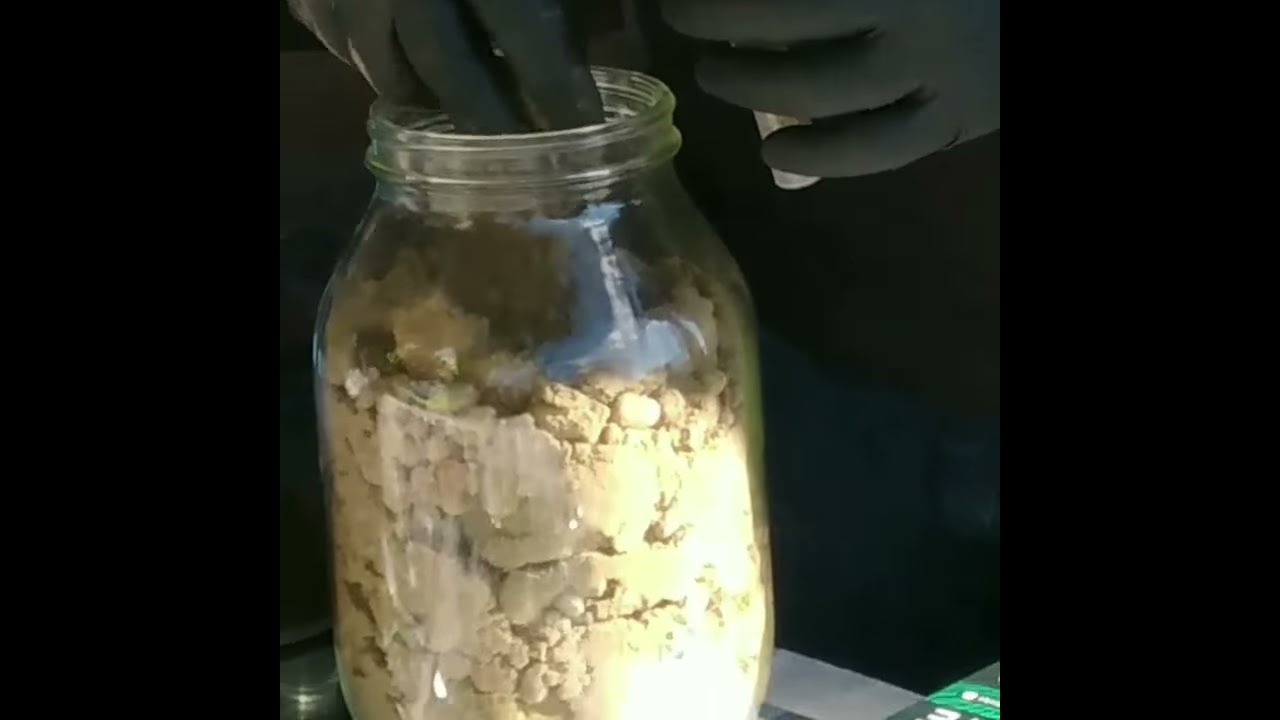 Jar of Hash