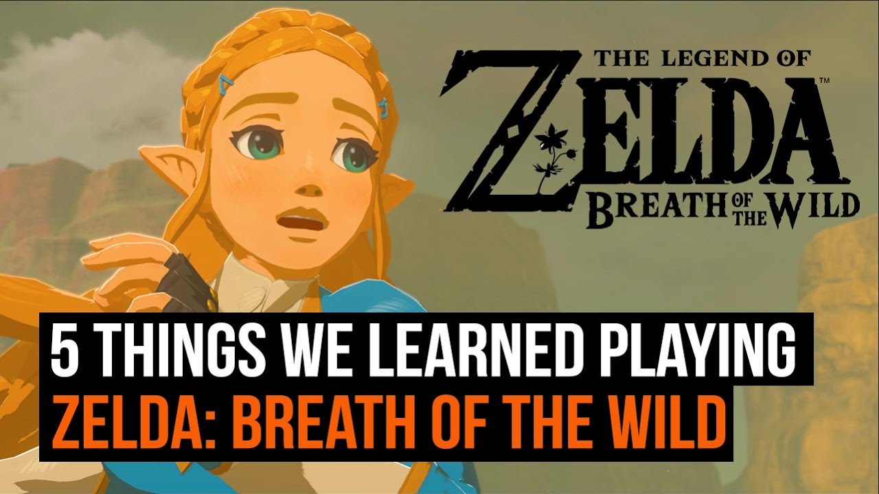 The Legend of Zelda: Breath of the Wild 2: 8 Things We Learned - IGN