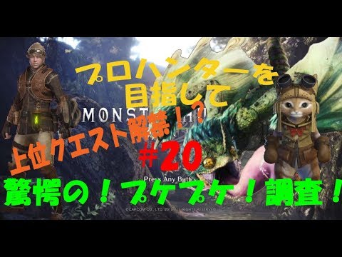 Mhw プロハンターを目指して 驚愕の プケプケ 調査 Youtube