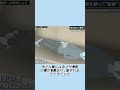 「ママ、怖いよ。出して」“家族ぐるみ” 押し入れで“拘束”#事件