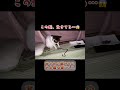 目が覚めると頭の上に生きてる蛇がいた…😱 #shorts