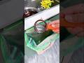 Smart Peeler with Built-In Box 🍎🥕 | No Mess, Easy Cleanup!