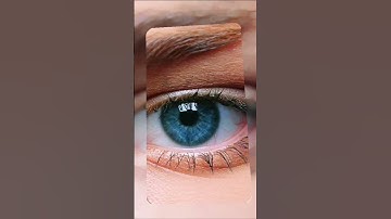 الرقية الشرعية لحماية رزقك من الحسد والعين #مصر #اكسبلور #المصحف #المغرب #الرحمن #العظماء #راحة