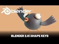 Blender Character Animation: Shape Keys