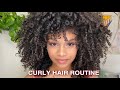 How To: Style, Diffuse, Refresh Curly Hair