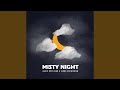 Misty Night