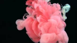 Abdulbasit Abdussamet Kuran Zi̇yafeti̇ -35