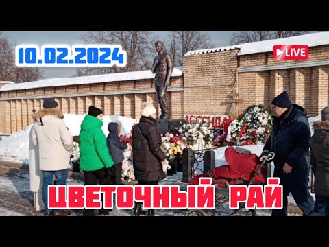 Божественная красота сегодня на могиле Юрия Шатунова | Троекуровское кладбище 10.02.2024