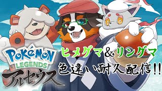 【PokémonLEGENDSアルセウス】ヒメグマ＆リングマ　色違い耐久配信！！出すまで終われん！！