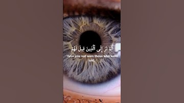 {أَلَمْ تَرَ إِلَى الَّذِينَ قِيلَ لَهُمْ كُفُّوا أَيْدِيَكُمْ} #سورة_النساء 'al-Nisa آية 77 Woman
