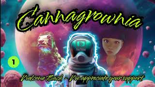 Dank Dungeon Ep.7: Shocking Changes & New Grow Spaces, Growing Weed Indoors  #medicalmarijuana