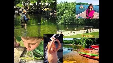 Vulnerable Wetlands Part 1