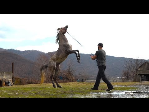 ხმა პანკისიდან - ამირან ხოლაგაშვილი ხეობის სტიგმაზე, ცხენოსნობასა და ტურიზმზე