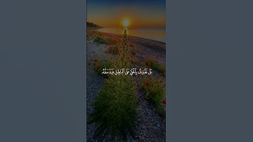 تلاوة خاشعة