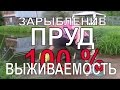 ЗАРЫБЛЕНИЕ ПРУДА КАРАСЕМ 100% РЕЗУЛЬТАТ на своём участке