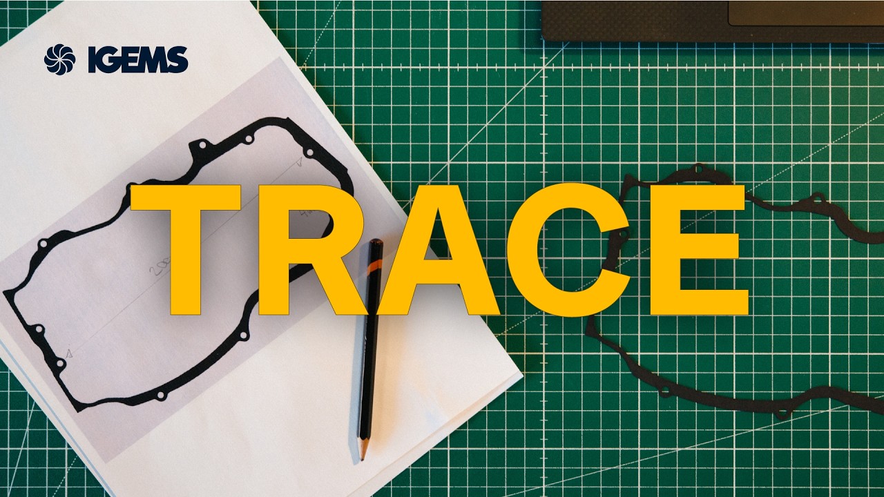 Как трассировать, очищать и редактировать геометрию изображений в IGEMS