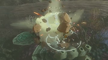 [DAY 747] of finding one korok seed in TotK everyday until we get them all