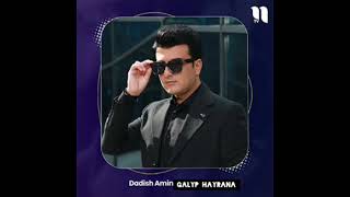 Dadish Aminov Galyp Xayrana