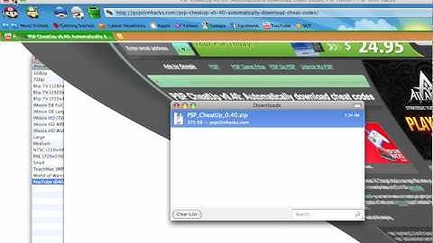 How to put more cheats in ur CWCHEAT