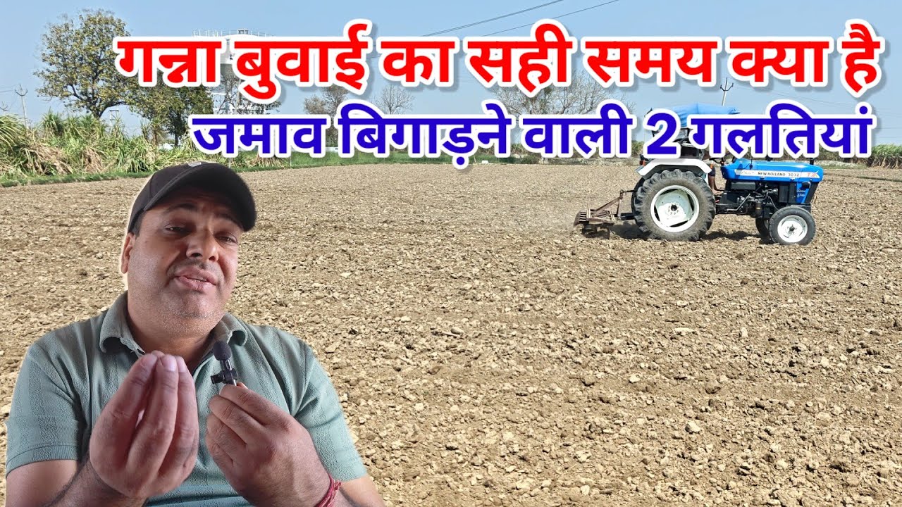 गन्ना बुवाई का सही समय ओर टेंप्रेचर। Ganna buvai ka sahi samay। #manojrajput 