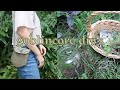 GOBLINCORE DIY'S | cottagecore, fairycore, goblincore, fall aesthetic diy's