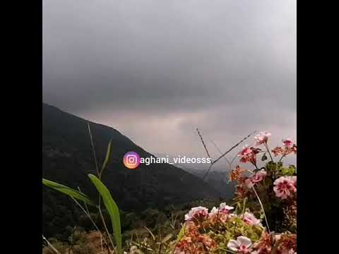     فكرت نسيت مروان خوري