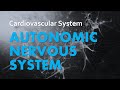 Understanding the Autonomic Nervous System